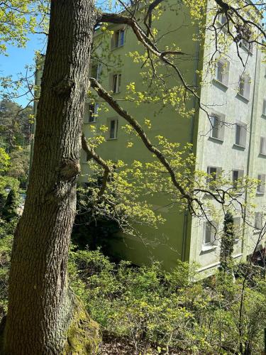 Gallery image of Apartament Przylesie in Sopot