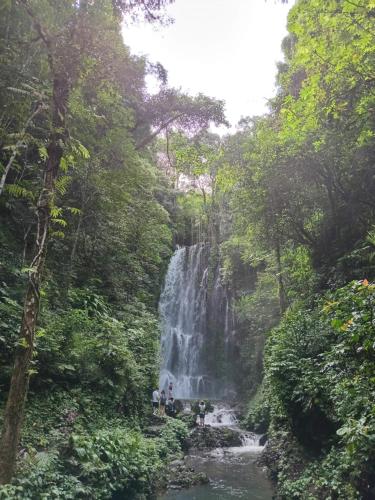 a waterfall in the middle of a river in a forest at Camaradvipa Retreat Munduk in Munduk
