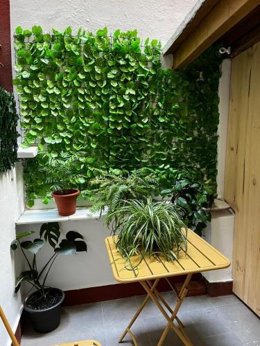 a green wall with plants next to a table at Pension Angelines, Sneuu Hostel Santander in Santander