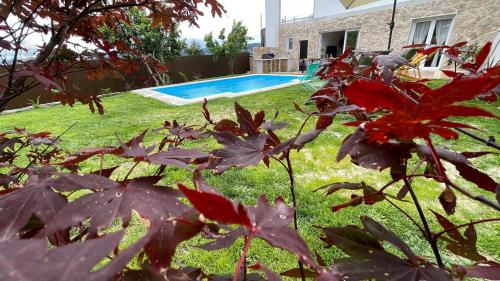 a yard with a swimming pool and red flowers at O Lar de Laura in Vigo
