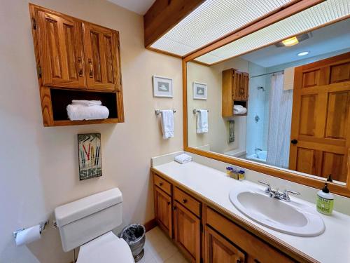 a bathroom with a sink and a toilet and a mirror at O8 Renovated Forest Cottage Townhome with great Mt Washington views fast wifi Walk to skiing in Carroll