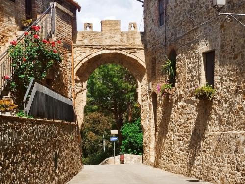 an archway in a stone building with flowers on it at B&B Terramare in Montiano