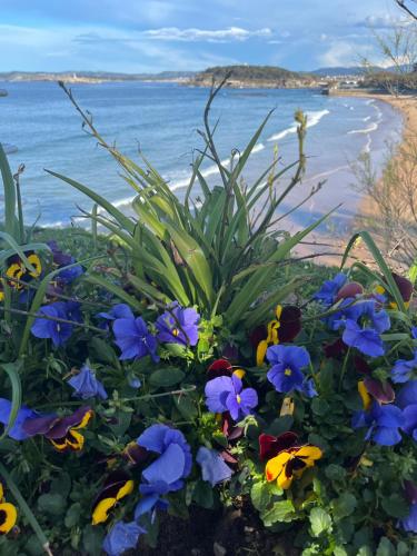 a bouquet of flowers on the beach at Pension Angelines, Sneuu Hostel Santander in Santander