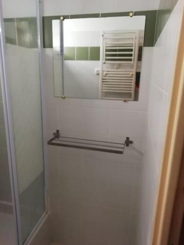 La salle de bains est pourvue d'un miroir et d'une douche. dans l'établissement Appartement plein sud avec terrasse, à Huez