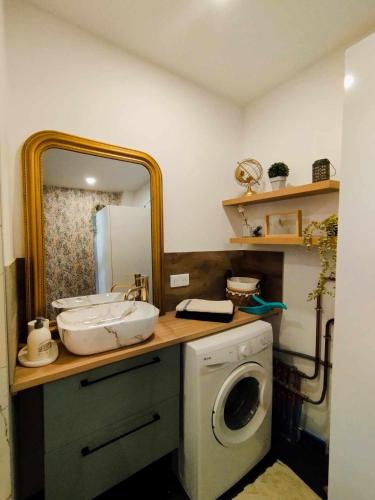 une salle de bain avec un lavabo et une machine à laver dans l'établissement Studio à St Brévin les pins, à Saint-Brévin-les-Pins