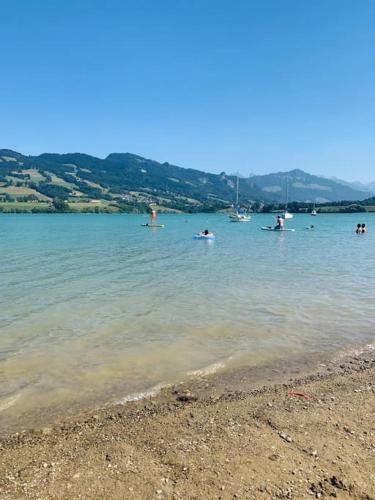 a group of people swimming in a body of water at Ferme Pasquier - Farmhouse with panoramic view - 1000 m2 garden in Avry devant Pont