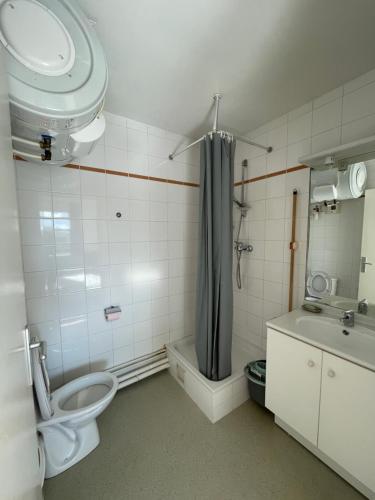 een badkamer met toilet, douche en wastafel bij Studio lumineux 10 min à La Défense 2 in Rueil-Malmaison