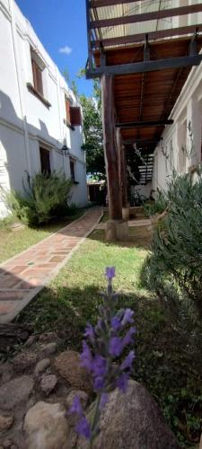 a flower in a yard next to a building at El Castillito de Juan in Mina Clavero