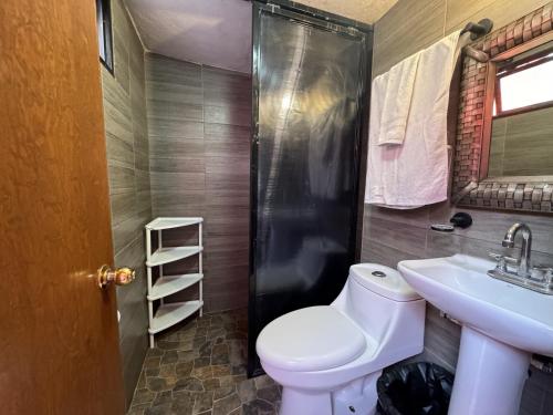 a bathroom with a toilet and a sink and a shower at Vista Reforma in Guanajuato