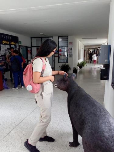 a woman standing next to a statue of a bear at Hotel La Herreria Colonial in Popayan