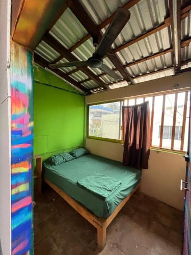 Ce lit se trouve dans un dortoir doté d'un mur vert. dans l'établissement Pipeline Hostel, à Puerto Escondido