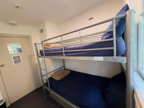 a bunk bed in a room with blue beds at Waiheke Backpackers Hostel in Onetangi