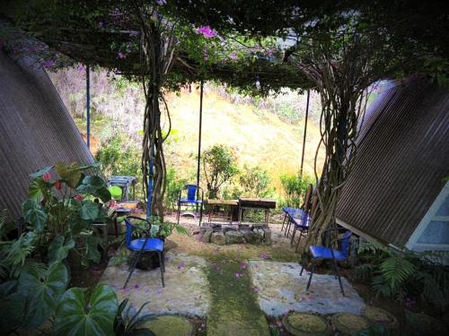 a patio with chairs and a table and trees at Tuyết Hoa Hòn Bồ Homestay in Da Lat