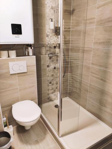 une salle de bain avec douche et toilettes dans l'établissement Calme, tranquille, proche Paris, à Bagneux