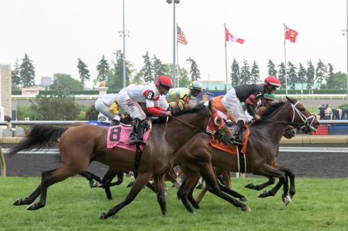 a group of jockeys racing horses on a race track at Holiday Inn Toronto International Airport by IHG in Toronto