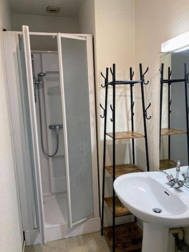 une salle de bain avec douche et lavabo dans l'établissement Appartement 1 cosy dans le centre, à Limoges