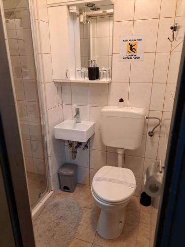 Un baño pequeño con inodoro y lavabo. en Rooms Baranjska Oaza, en Bilje
