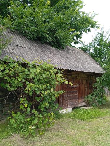 Taman di luar Dom na wsi u Kasi Hajnówka NA WYŁĄCZNOŚĆ