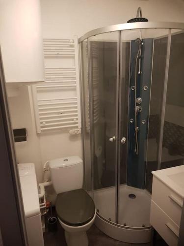 une salle de bain avec toilettes et douche en verre dans l'établissement Le cocon, à Besançon