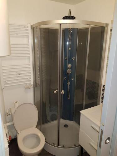 une petite salle de bain avec toilettes et douche dans l'établissement Le cocon, à Besançon