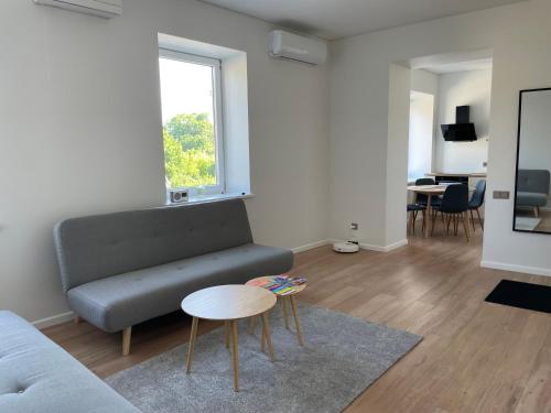 Zona de estar de Vilkmerge apartment