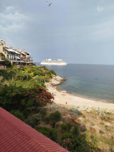 Roof Garden By The Sea