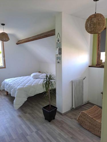une chambre avec un lit et une plante en pot dans l'établissement La JUFE, à Cormeilles