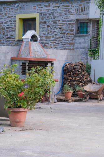 Κήπος έξω από το John's House - Chorto Pelion
