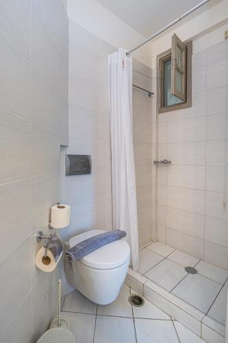 a bathroom with a toilet and a shower at Erato Hotel in Agia Marina Aegina