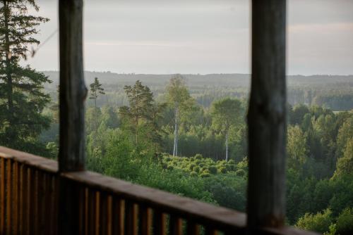 a view of a forest from a balcony at Grava Cottage in Tukums