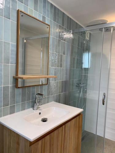 une salle de bain avec un lavabo et une douche dans l'établissement Casa Leo, à Gujan-Mestras
