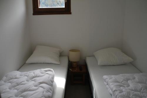 deux lits jumeaux dans une chambre avec fenêtre dans l'établissement Gentianes GNA15 MOUNTAIN 1 QUIET 3 Pers, à Châtel