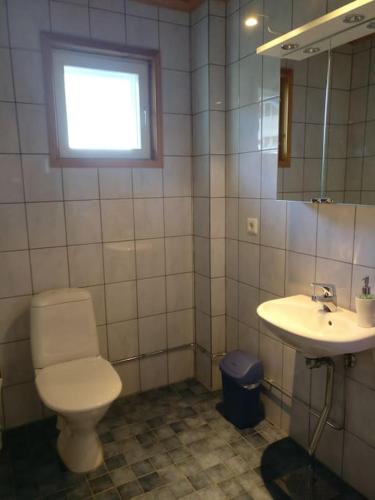 a bathroom with a toilet and a sink at Loghouse in Hjorto in Ödkarby