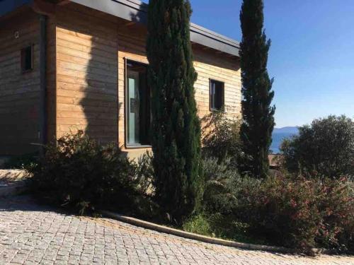 Κήπος έξω από το Casa Turrigiani