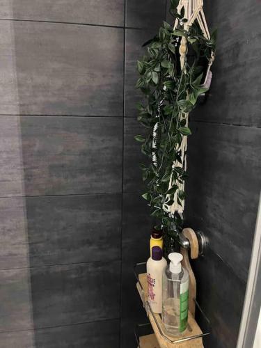 - une salle de bains pourvue d'une étagère avec 2 bouteilles et une plante dans l'établissement Studio next to to Paris and Stade France, à Saint-Ouen