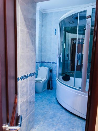 a bathroom with a toilet and a large mirror at Kolsay Tanbalytas Villa in Kolʼbastau