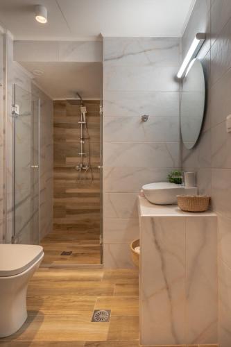 a bathroom with a shower and a toilet and a sink at Evdokia Luxurious Living in Stavros