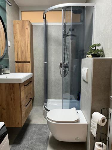 a bathroom with a shower and a toilet and a sink at Apartman AURELIA Vinkovci in Vinkovci