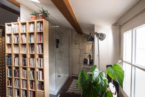 a bathroom with a shower and a book shelf filled with books at Centre-ville, rempart sud in Angoulême