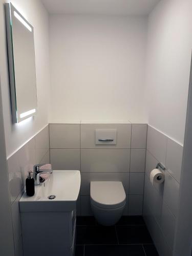 a white bathroom with a toilet and a sink at Neubau-Ferienwohnung mit Panorama-Seeblick in Bosau