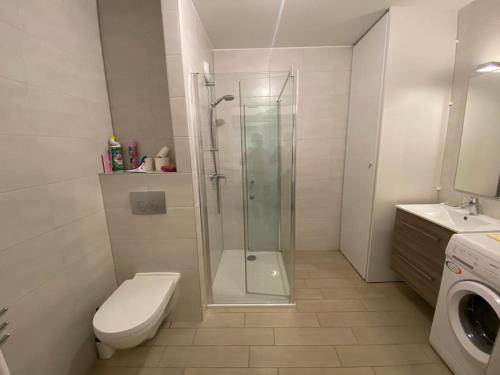 une salle de bain avec une douche, des toilettes et un lavabo dans l'établissement Les 4 éléments C004 - Multipass inclu, à Châtel