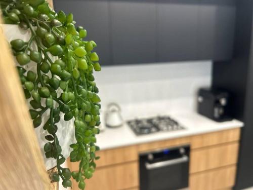 Kuchyň nebo kuchyňský kout v ubytování North Coogee Escape 2B2B