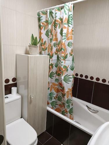 ein Badezimmer mit Toilette und Duschvorhang in der Unterkunft Apartamento Sweet Carolinas in Vilagarcia de Arousa