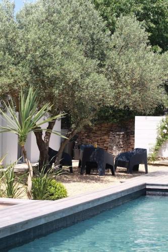 trois éléphants debout à côté d'un mur de briques avec des arbres dans l'établissement 7enGarrigue - Charmant deux pièces avec piscine, à Uzès