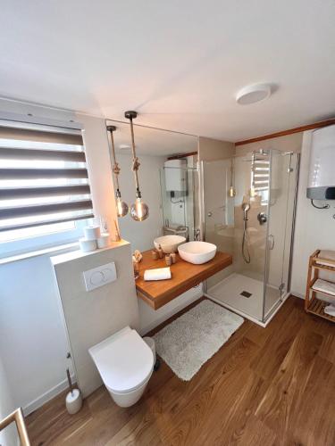 a bathroom with a toilet and a sink and a shower at Apartment Araucaria Gallery in Crikvenica