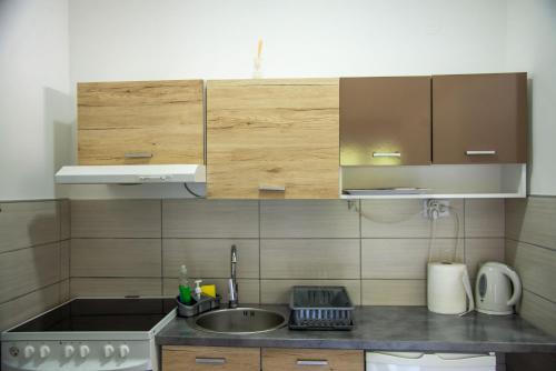 a kitchen with a sink and a counter top at Apartmani Maslačak in Vrdnik