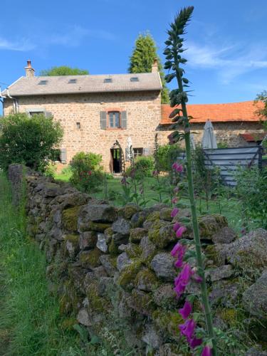 Lavande