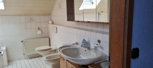 a bathroom with a sink and a toilet and a mirror at Ferienwohnung mit Dachterrasse in Eicklingen