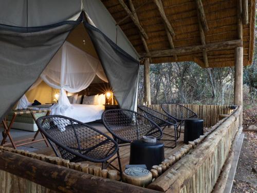 Fotografie z fotogalerie ubytování KwaMbili Game Lodge v destinaci Rezervace Thornybush