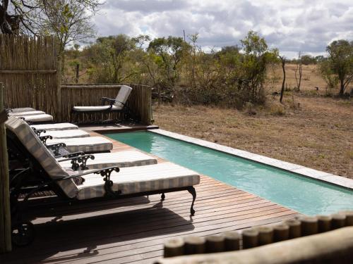 Bazén v ubytování KwaMbili Game Lodge nebo v jeho okolí
